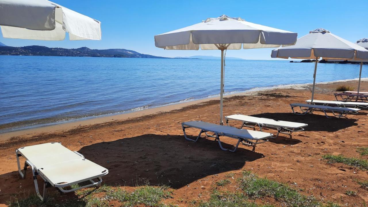 Alekos Beach Houses-Alekos Beach Complex Ликсури Экстерьер фото