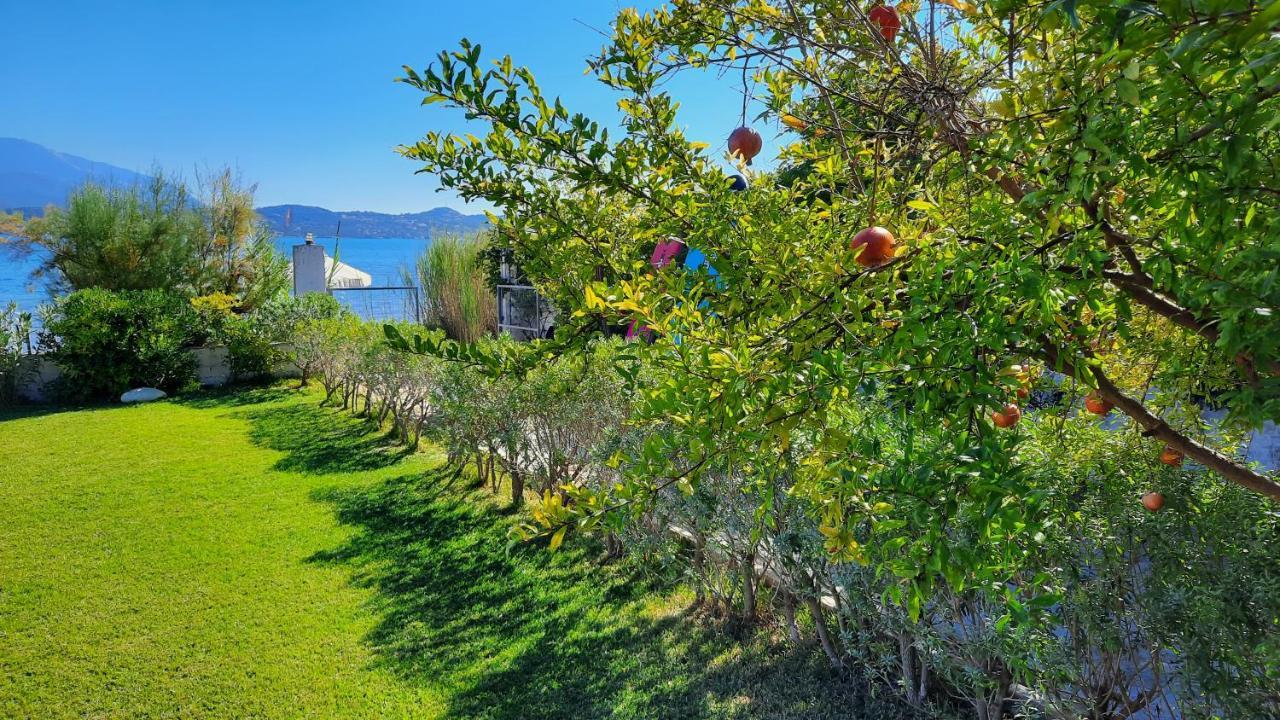 Alekos Beach Houses-Alekos Beach Complex Ликсури Экстерьер фото
